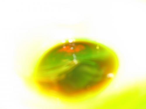 Fotografia de Pablo ecoB - Galeria Fotografica: Boda de Jairo - Foto: 