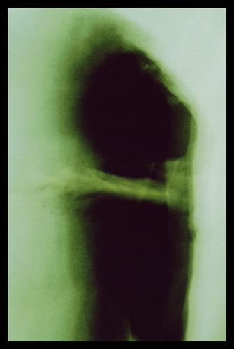 Fotografia de paula elvira - Galeria Fotografica: figuras - Foto: 5