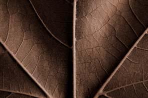 Fotografia de Desenfocado - Galeria Fotografica: Publicidad 02 - Foto: 