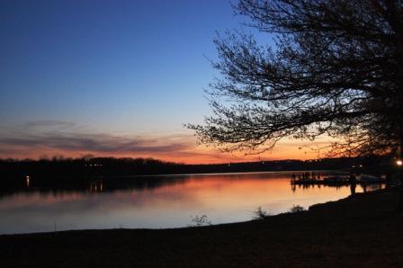 Fotografia de Susy - Galeria Fotografica: Vivo - Foto: 