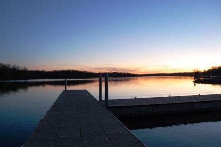 Fotografia de Susy - Galeria Fotografica: Vivo - Foto: 