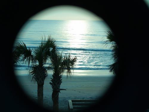 Fotografia de Susy - Galeria Fotografica: Vivo - Foto: 