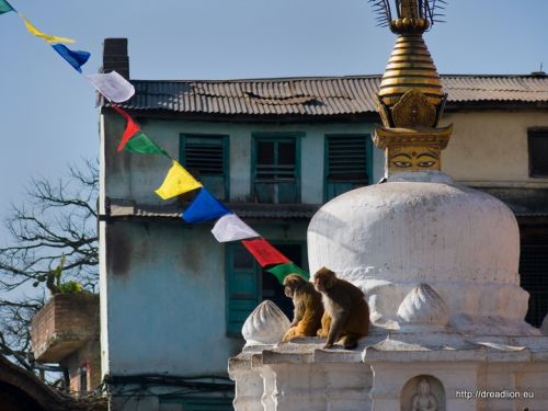 Fotografia de Dread Lion - Galeria Fotografica: Las caras de Buddha - Foto: 