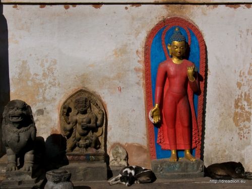 Fotografia de Dread Lion - Galeria Fotografica: Las caras de Buddha - Foto: 