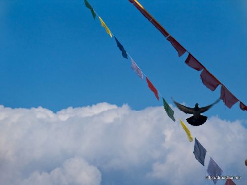 Fotografia de Dread Lion - Galeria Fotografica: Las caras de Buddha - Foto: 