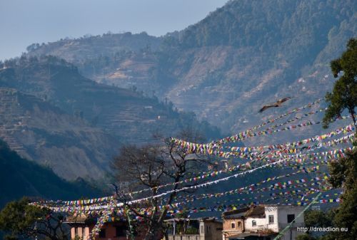 Fotografia de Dread Lion - Galeria Fotografica: Las caras de Buddha - Foto: 