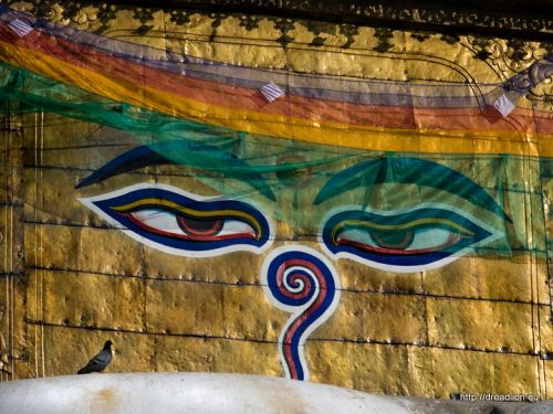 Fotografia de Dread Lion - Galeria Fotografica: Las caras de Buddha - Foto: 