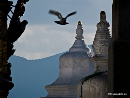 Fotografia de Dread Lion - Galeria Fotografica: Las caras de Buddha - Foto: 