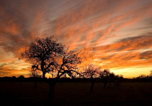 Fotografia de Miquel - Galeria Fotografica: Sol y nubes - Foto: 