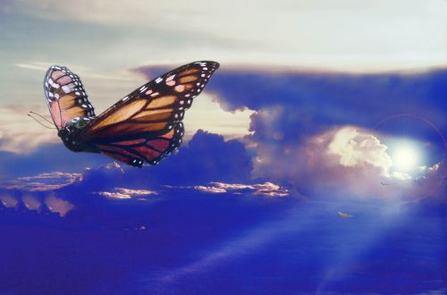 Fotografia de Sergio Loman - Galeria Fotografica: PARAISO - Foto: 