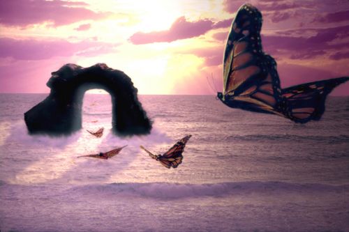 Fotografia de Sergio Loman - Galeria Fotografica: PARAISO - Foto: 