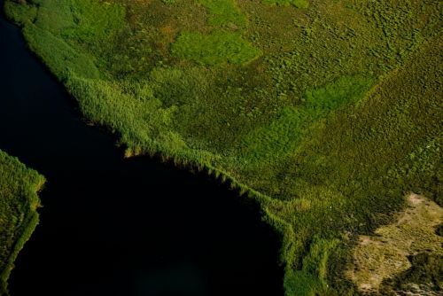 Fotografia de Roser Pags - Galeria Fotografica: Area - Foto: Aiguamolls