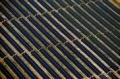 Fotos de Roser Pags -  Foto: Area - Campo de paneles solares