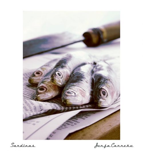 Fotografia de Jorja Carre�o - Galeria Fotografica: Alimentos - Foto: 