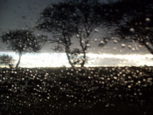 Fotografia de tavo64 - Galeria Fotografica: TORMENTA EN LA PAMPA - Foto: 