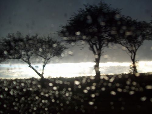 Fotografia de tavo64 - Galeria Fotografica: TORMENTA EN LA PAMPA - Foto: 