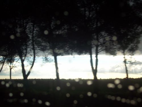 Fotografia de tavo64 - Galeria Fotografica: TORMENTA EN LA PAMPA - Foto: 