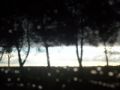 Fotos de tavo64 -  Foto: TORMENTA EN LA PAMPA - 