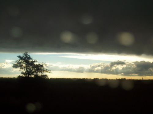 Fotografia de tavo64 - Galeria Fotografica: TORMENTA EN LA PAMPA - Foto: 