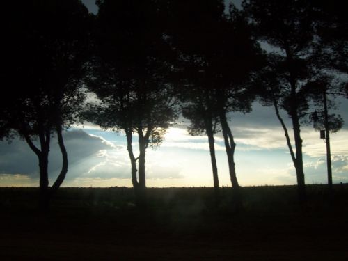 Fotografia de tavo64 - Galeria Fotografica: TORMENTA EN LA PAMPA - Foto: 