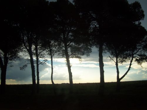 Fotografia de tavo64 - Galeria Fotografica: TORMENTA EN LA PAMPA - Foto: 