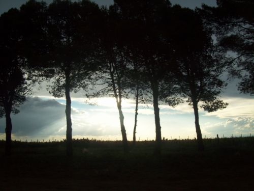 Fotografia de tavo64 - Galeria Fotografica: TORMENTA EN LA PAMPA - Foto: 