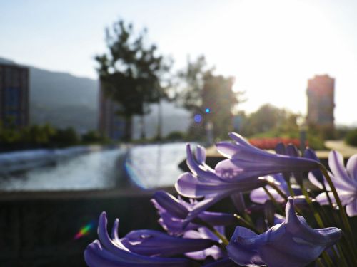 Fotografia de JullySalzate - Galeria Fotografica: Mis primeras Fotos - Foto: Barakaldo