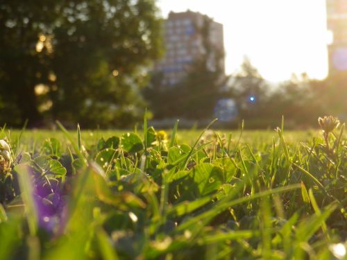 Fotografia de JullySalzate - Galeria Fotografica: Mis primeras Fotos - Foto: 