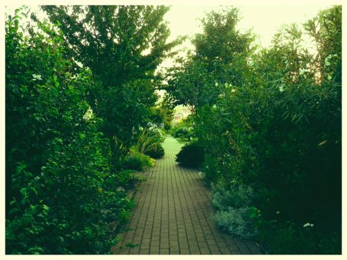 Fotografia de JullySalzate - Galeria Fotografica: Mis primeras Fotos - Foto: 