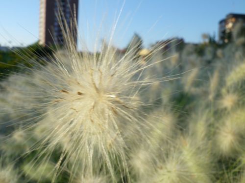 Fotografia de JullySalzate - Galeria Fotografica: Mis primeras Fotos - Foto: 