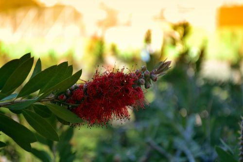 Fotografia de Jack Ens - Galeria Fotografica: El mundo en mi cmara - Foto: Madrid