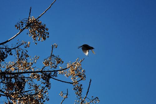 Fotografia de Jack Ens - Galeria Fotografica: El mundo en mi cmara - Foto: Madrid