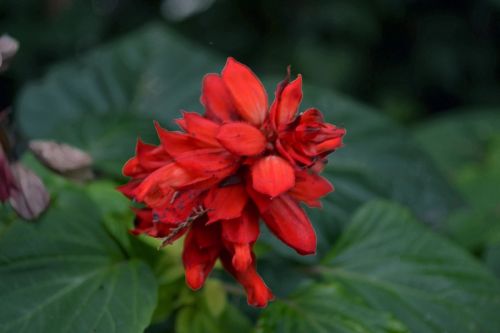 Fotografia de Jack Ens - Galeria Fotografica: El mundo en mi cmara - Foto: 