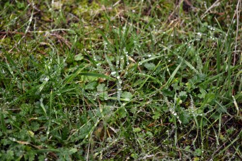 Fotografia de Jack Ens - Galeria Fotografica: El mundo en mi cmara - Foto: 