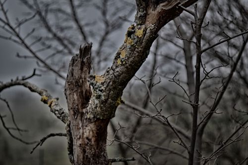 Fotografia de Jack Ens - Galeria Fotografica: El mundo en mi cmara - Foto: 