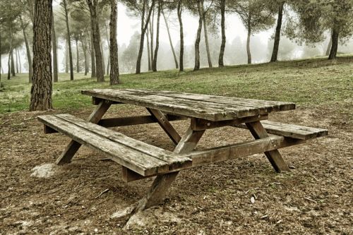 Fotografia de Jack Ens - Galeria Fotografica: El mundo en mi cmara - Foto: 