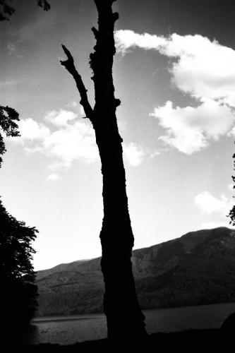 Fotografia de Sin Nombre - Galeria Fotografica: Viaje al sur - Foto: 