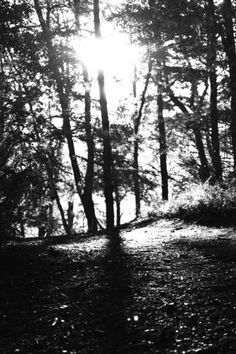 Fotografia de Sin Nombre - Galeria Fotografica: Viaje al sur - Foto: 