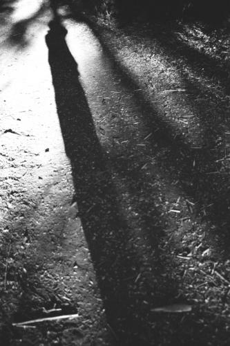 Fotografia de Sin Nombre - Galeria Fotografica: Viaje al sur - Foto: Mi Sombra