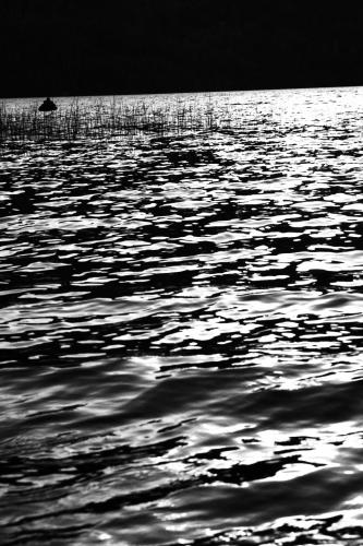 Fotografia de Sin Nombre - Galeria Fotografica: Viaje al sur - Foto: 