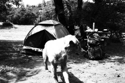 Fotografia de Sin Nombre - Galeria Fotografica: Viaje al sur - Foto: Cuando me desperte en lago hermoso