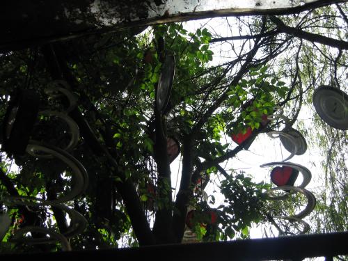 Fotografia de Pablo ecoB - Galeria Fotografica: A Chia! Andr�s, carne de res... - Foto: 