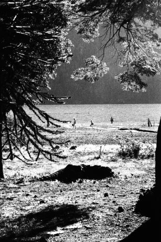 Fotografia de Sin Nombre - Galeria Fotografica: Viaje al sur 2 - Foto: 