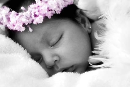 Fotografia de Bibi Fregoso - Galeria Fotografica: Galeria Varias - Foto: La Reina