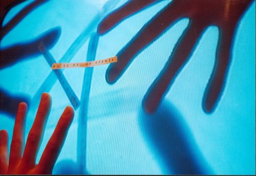 Fotografia de LUMINA - Galeria Fotografica: Wake up - Foto: 