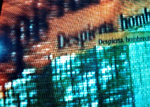 Fotografia de LUMINA - Galeria Fotografica: Wake up - Foto: 