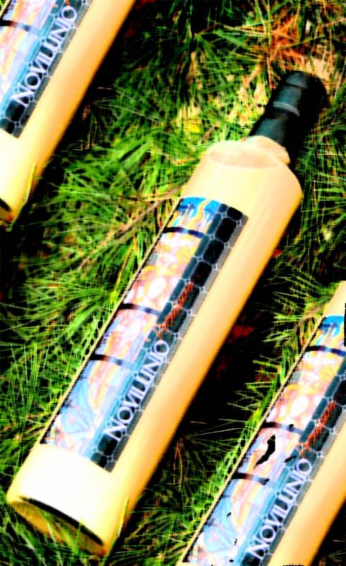 Fotografia de VICTOR IGLESIAS - Galeria Fotografica: catalogo - Foto: 