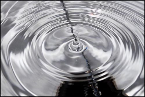 Fotografia de jorge352 - Galeria Fotografica: principiante - Foto: 