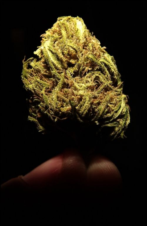 Fotografia de jorge352 - Galeria Fotografica: principiante - Foto: 