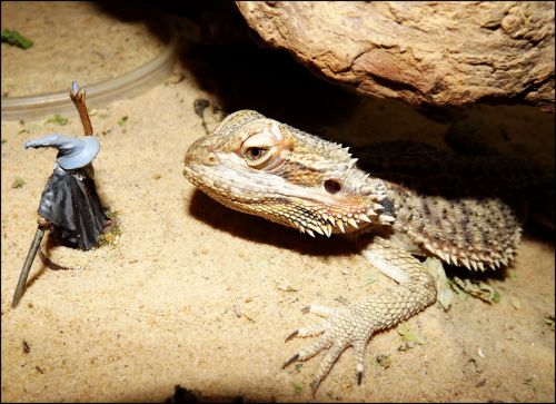 Fotografia de jorge352 - Galeria Fotografica: principiante - Foto: 